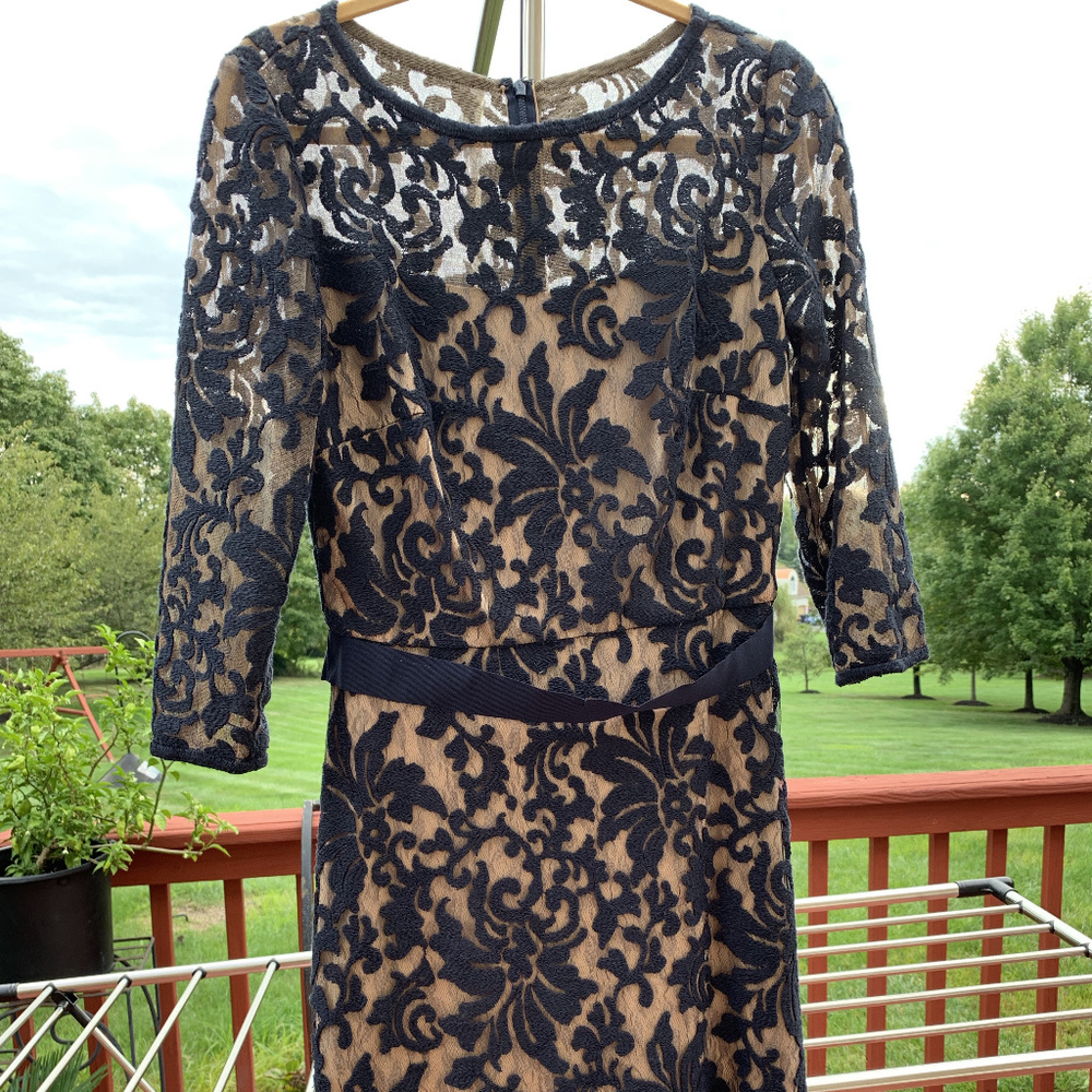 Tadashi Shoji Three-Quarter Sleeve Lace Cocktail